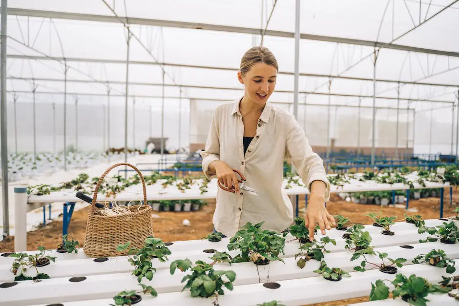 A person holding a pruning shears, snipping a stem from a plant to propagate it, symbolizing the process of houseplant propagation.