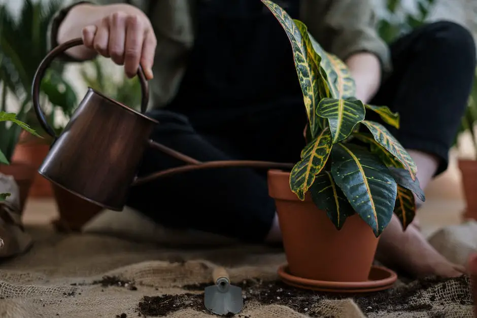 A person watering a houseplant