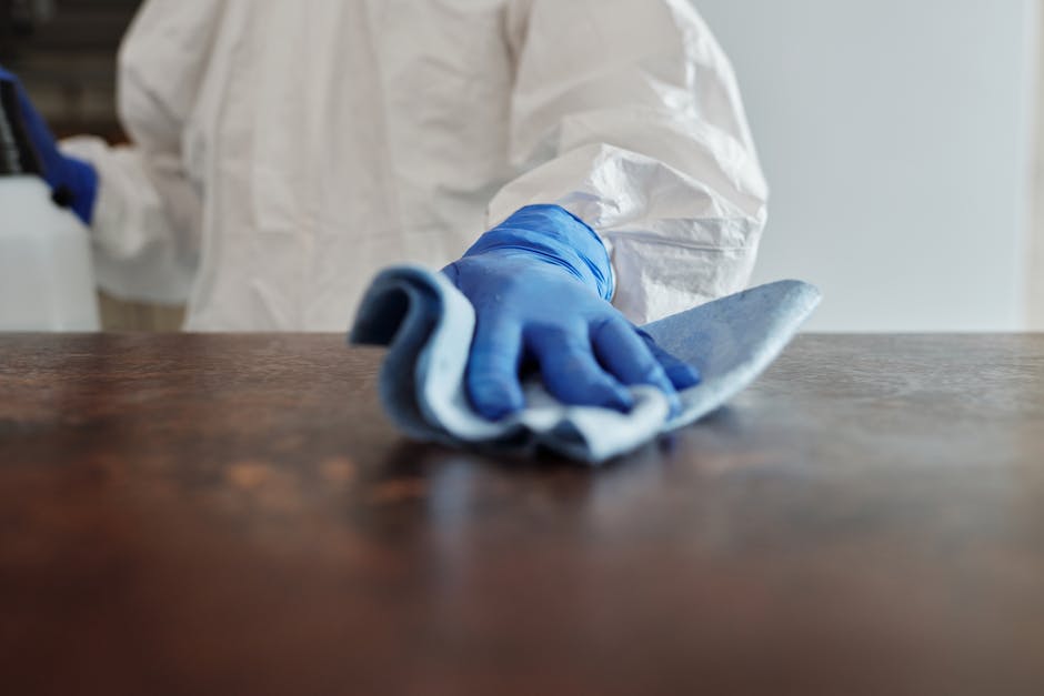 Image of a person cleaning a houseplant with a soft cloth.