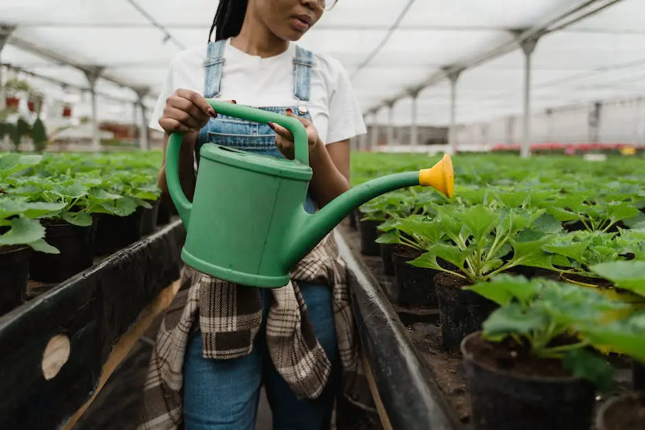 Image of various indoor plants, representing the topic of nurturing indoor plants