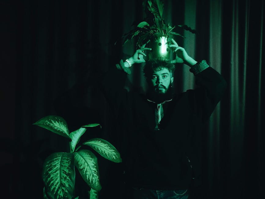 Image of a person holding a potted plant, symbolizing plant parenthood.