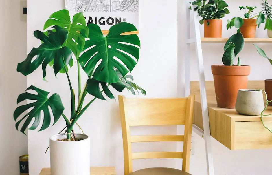 Image: A person peacefully tending to houseplants with a smile on their face.